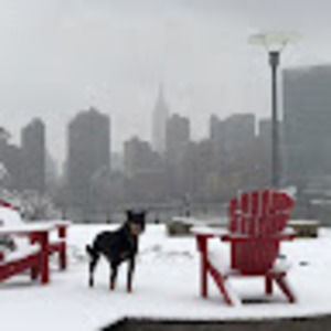 Meet your Posher, Melanie